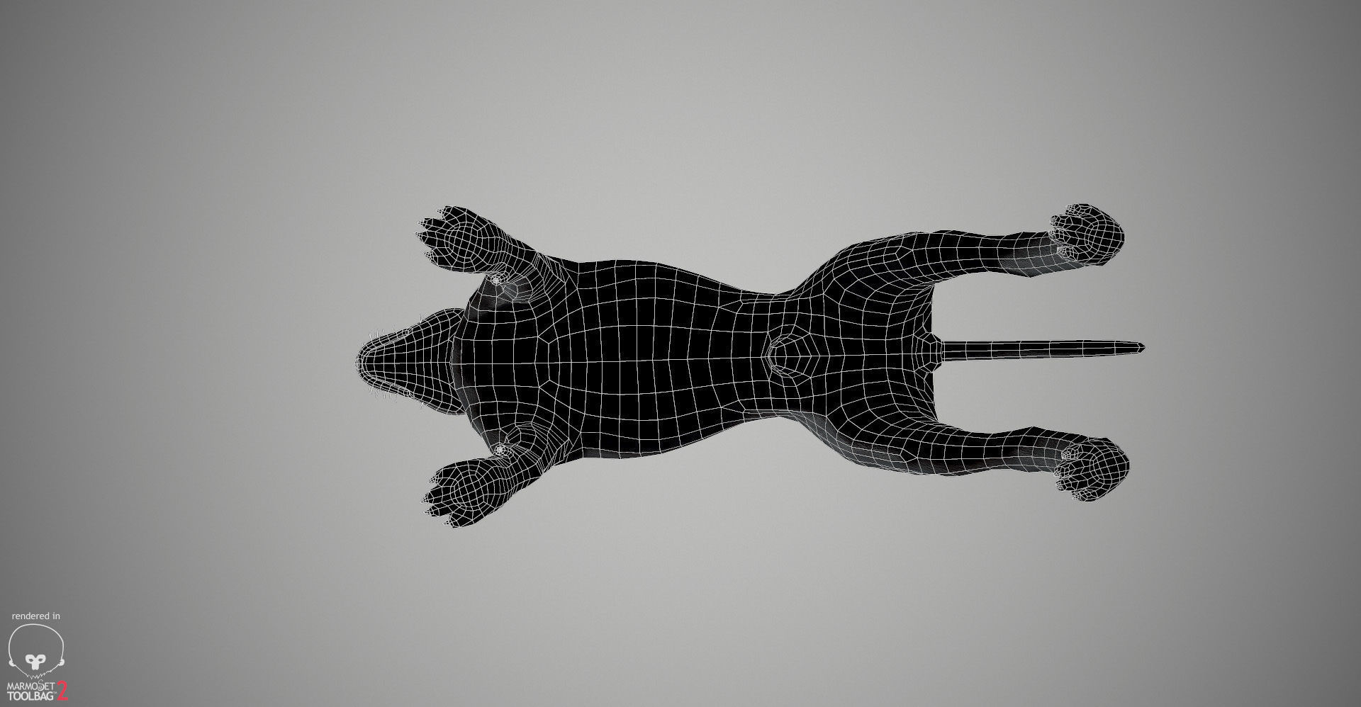 Pitbull Real-Time Low-poly 3D model_33