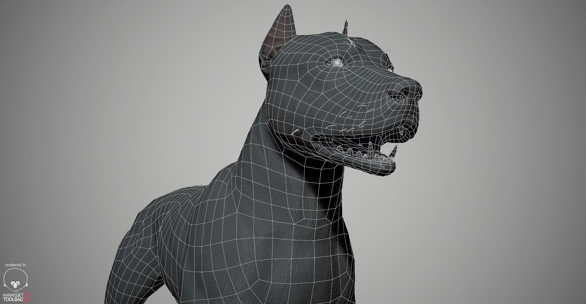 Pitbull Real-Time Low-poly 3D model_31
