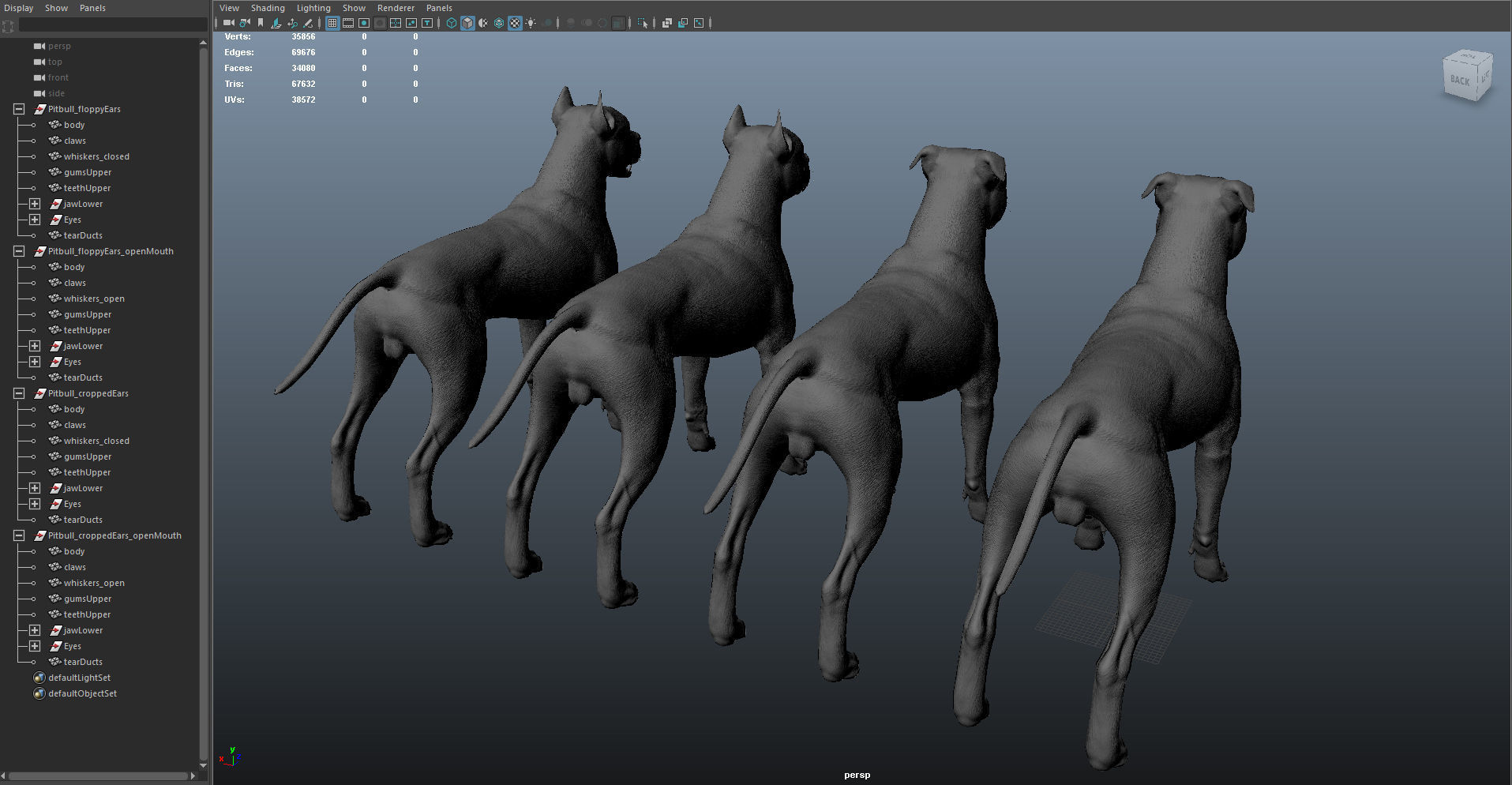 Pitbull Real-Time Low-poly 3D model_43
