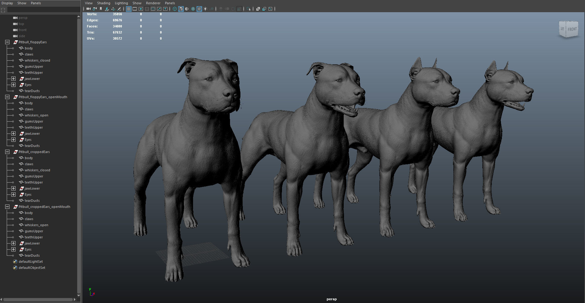Pitbull Real-Time Low-poly 3D model_42