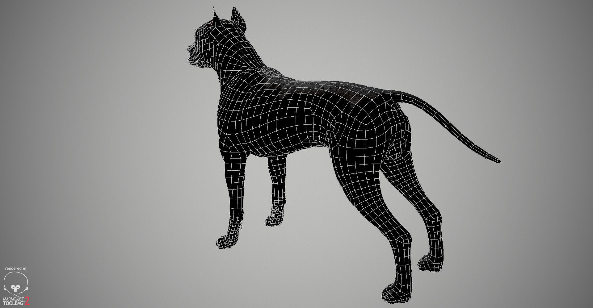Pitbull Real-Time Low-poly 3D model_30