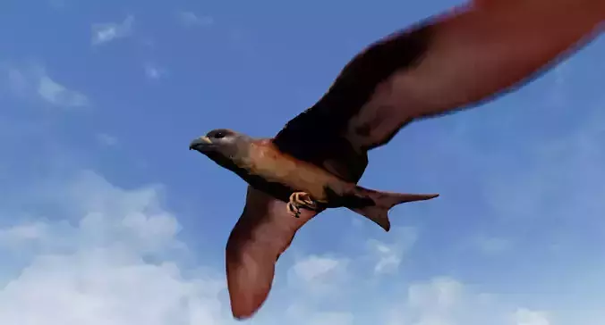 Folcan - Bird Low-poly 3D model
