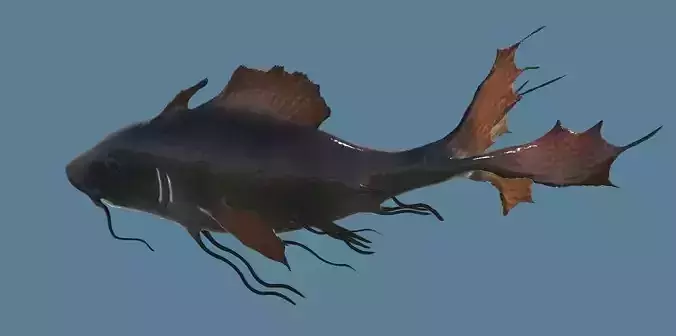 Tropical Fish - Animated - realistic - colorful 3D model