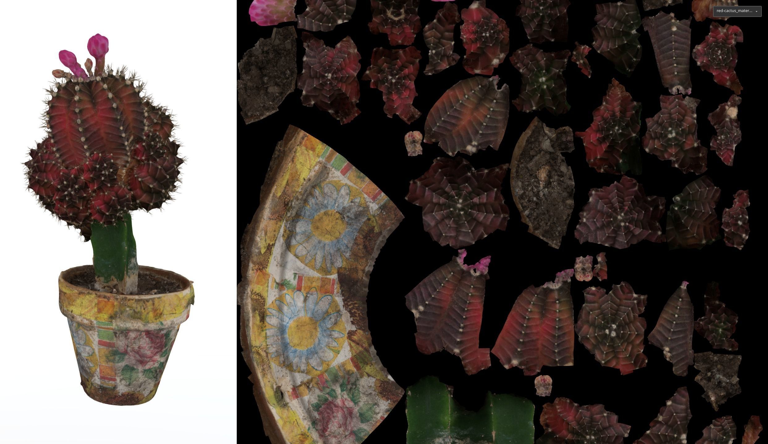 Little red cactus in a pod 3D model_8