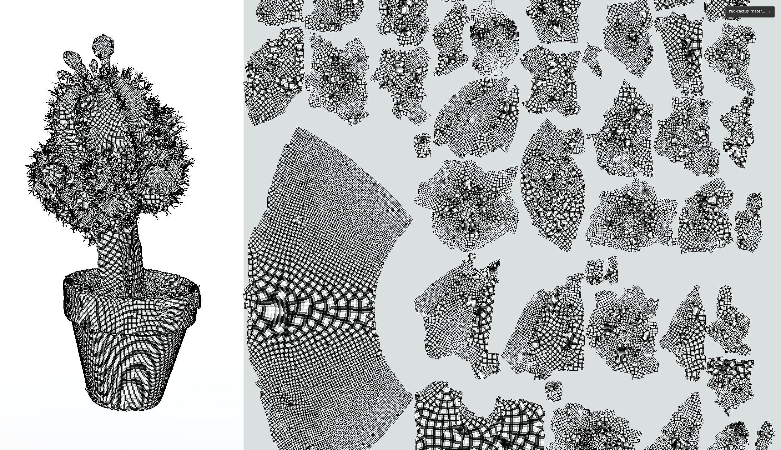 Little red cactus in a pod 3D model_11