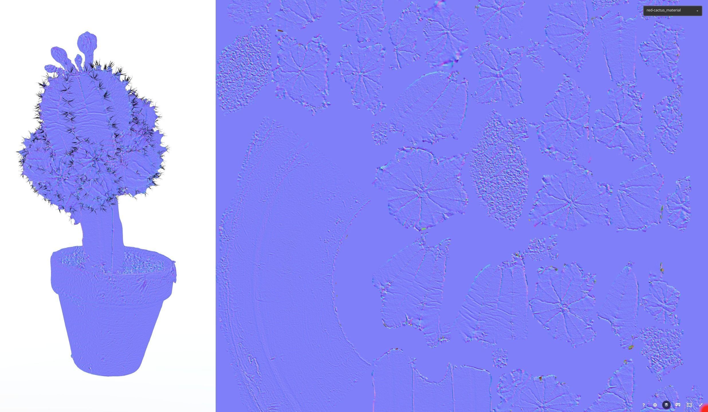 Little red cactus in a pod 3D model_9