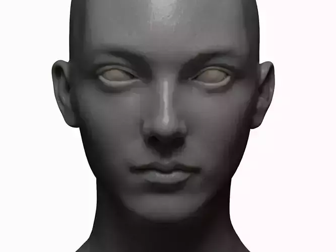 female 20s high detail zbrush obj file with low poly