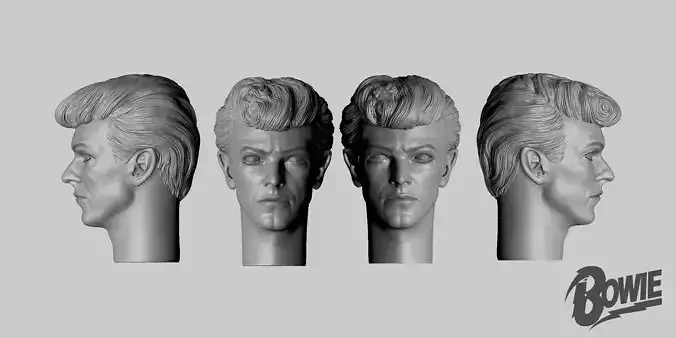 David Bowie  onesixth head