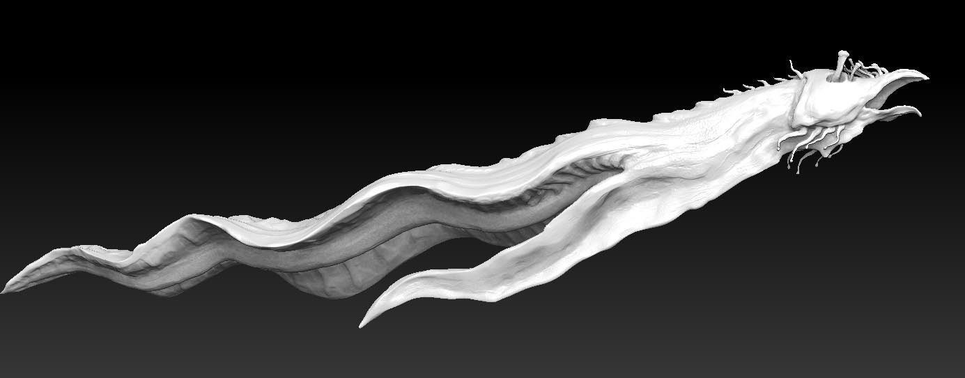 Aquatic Monster or Alien sculpt Low-poly 3D model_4