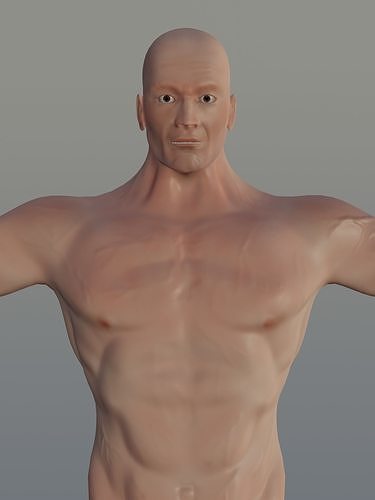 Human Basic Model - Muscular Low-poly 3D model