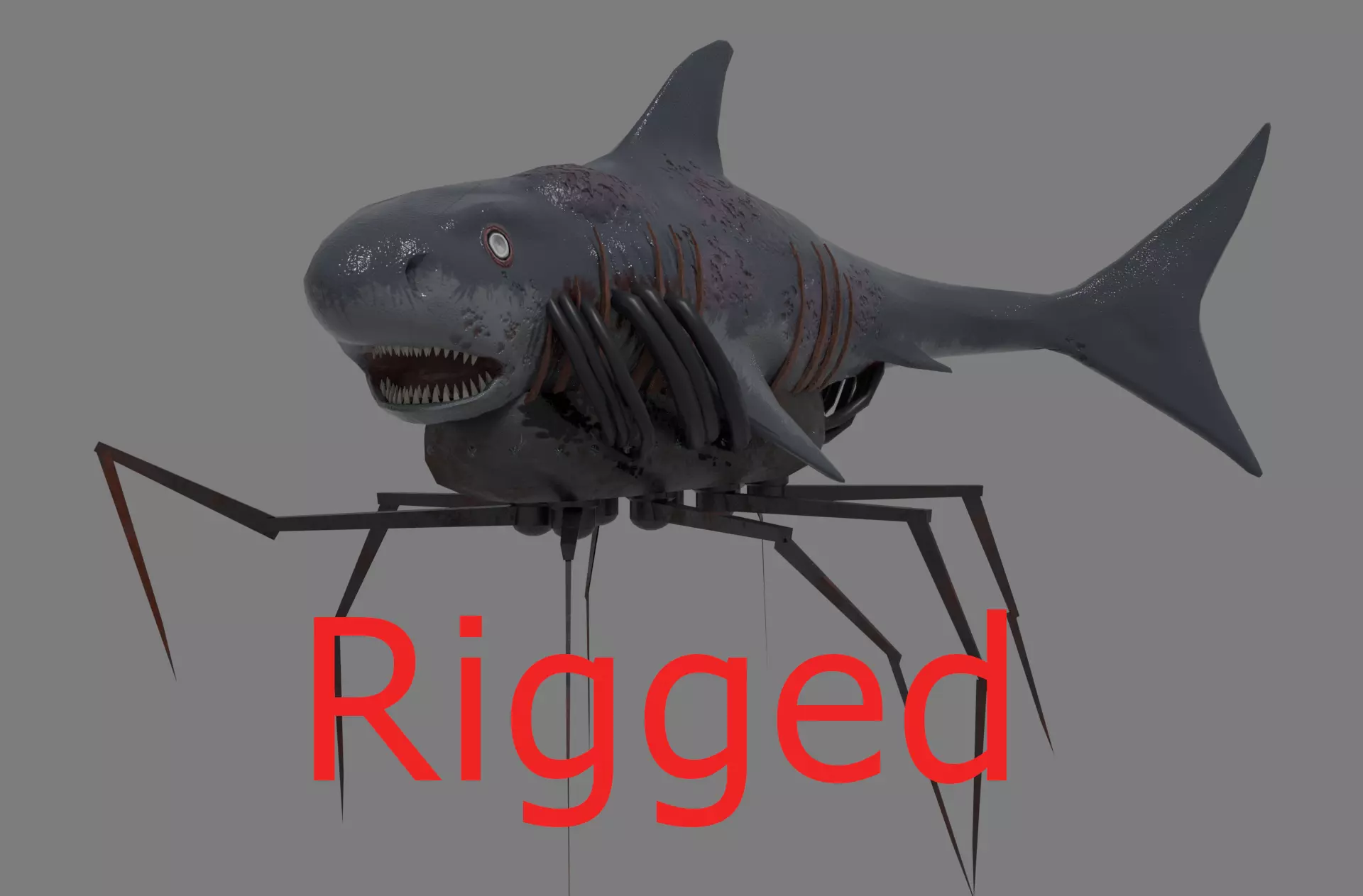 Shark on spider web Low-poly 3D model_0