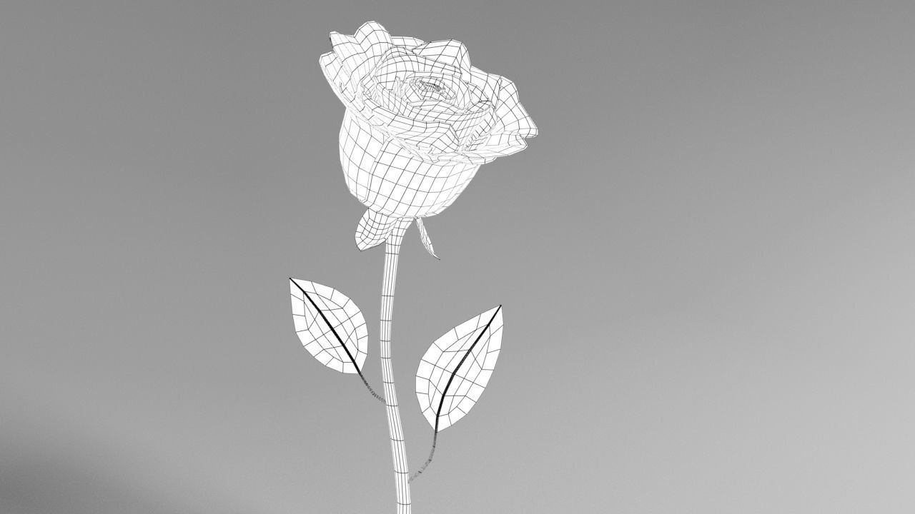 Cartoony Pink Fragrant Flower Low-poly 3D model_8