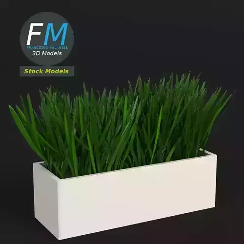 Grass in a pot 2 3D model