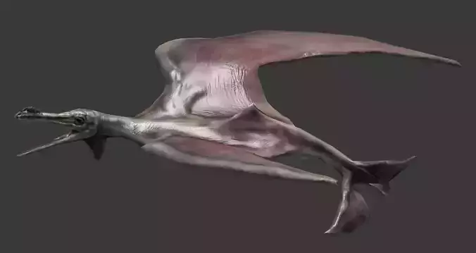 Terafin - prehistoric flying creature Low-poly 3D model