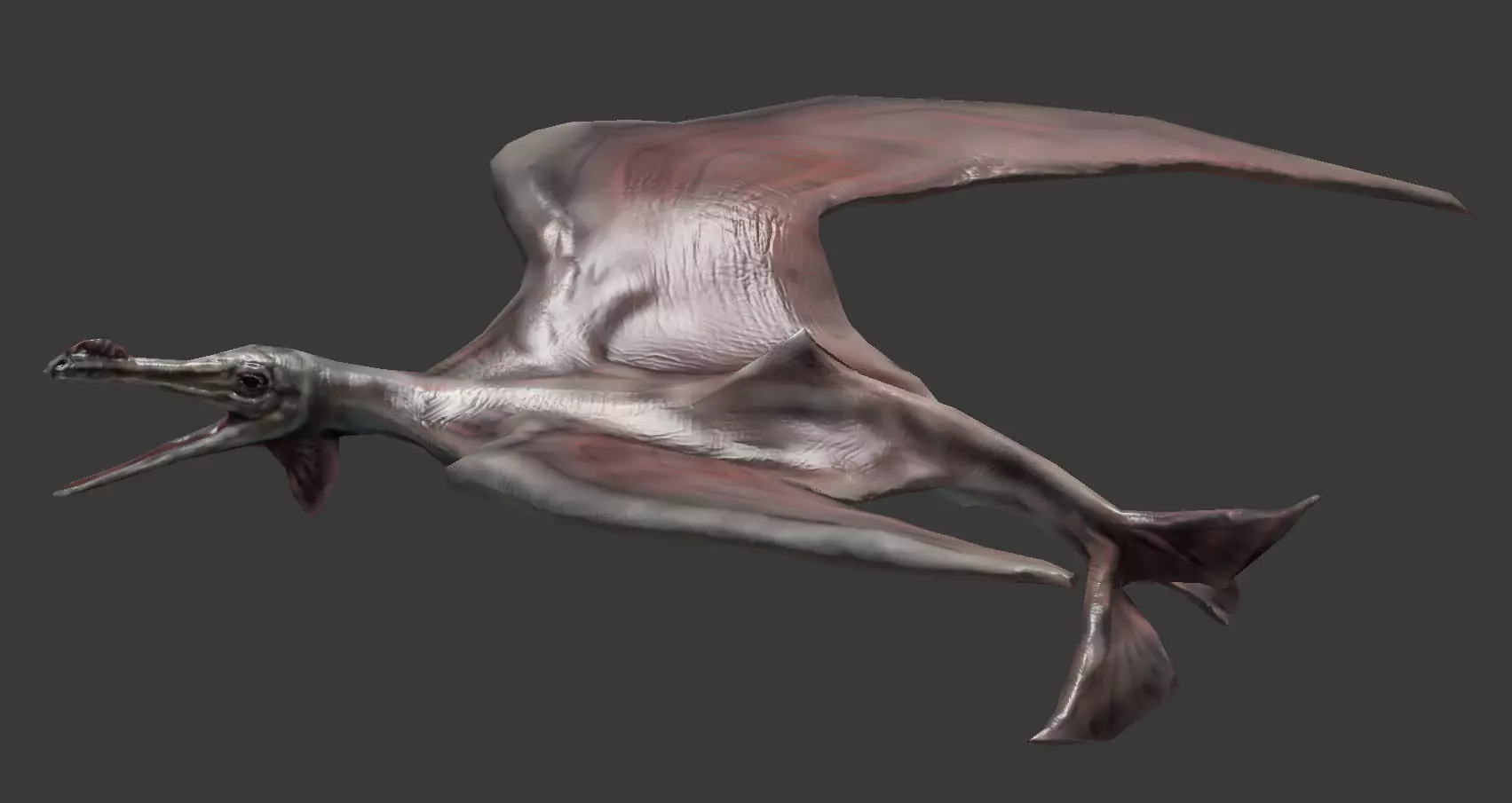 Terafin - prehistoric flying creature Low-poly 3D model_0