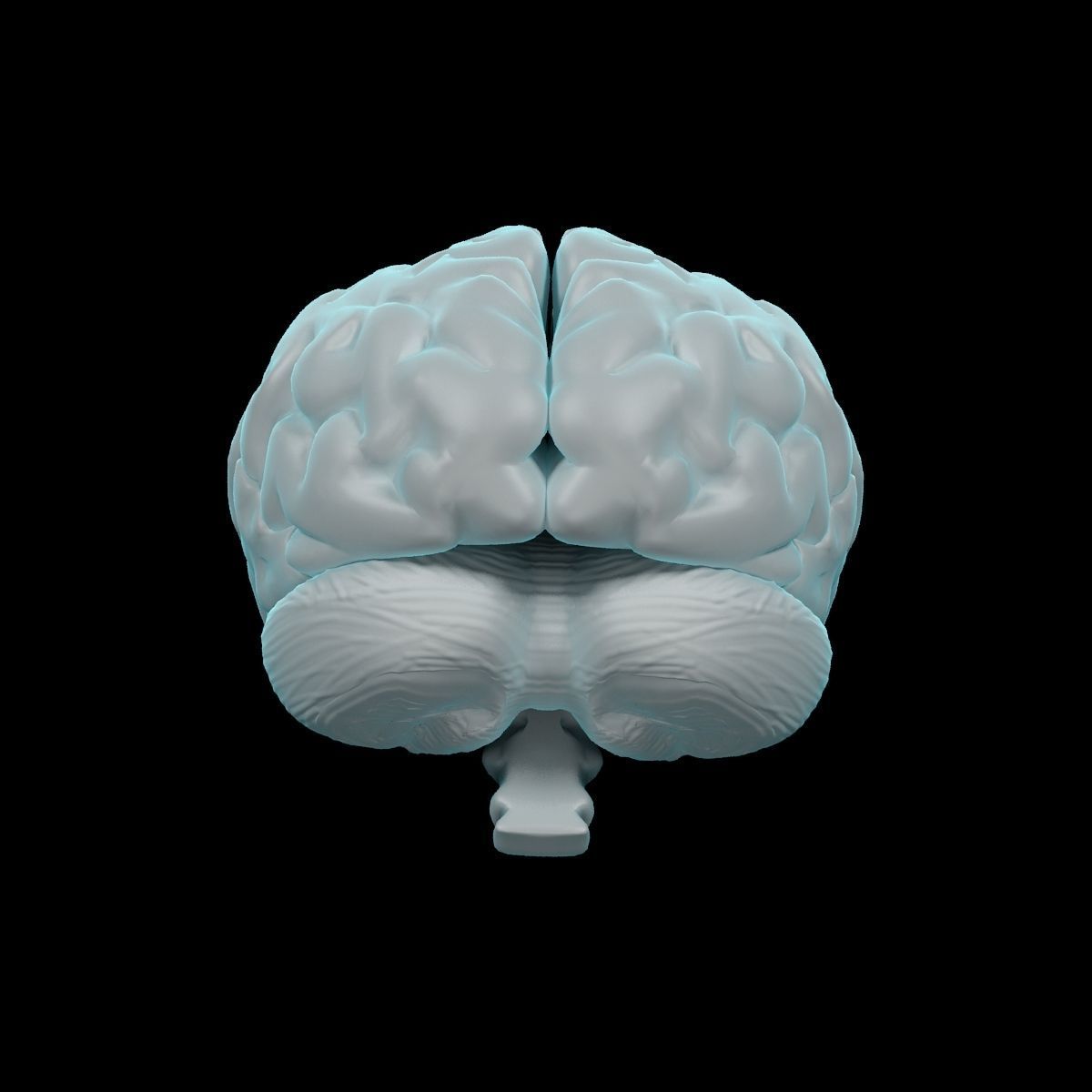 Human Brain 3D model_2