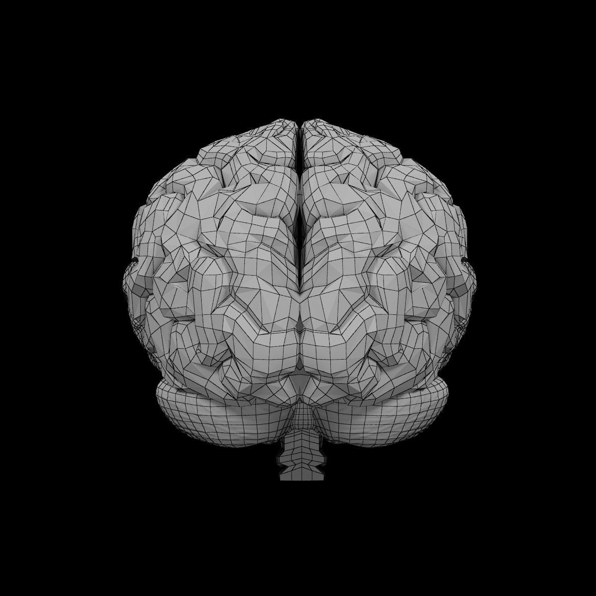Human Brain 3D model_11
