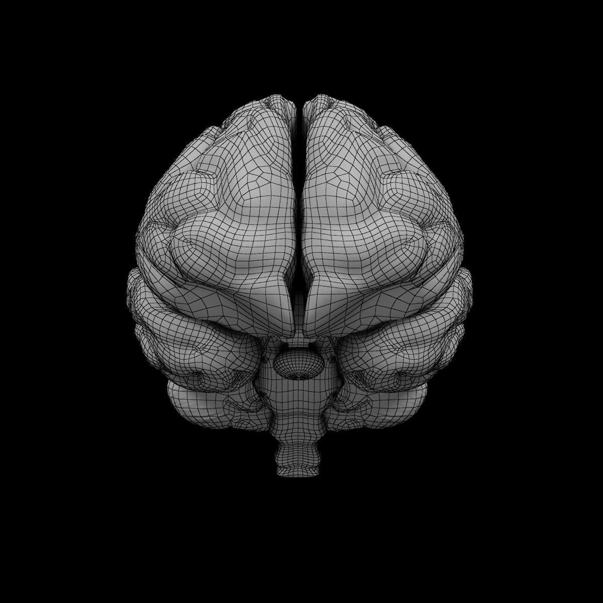 Human Brain 3D model_1