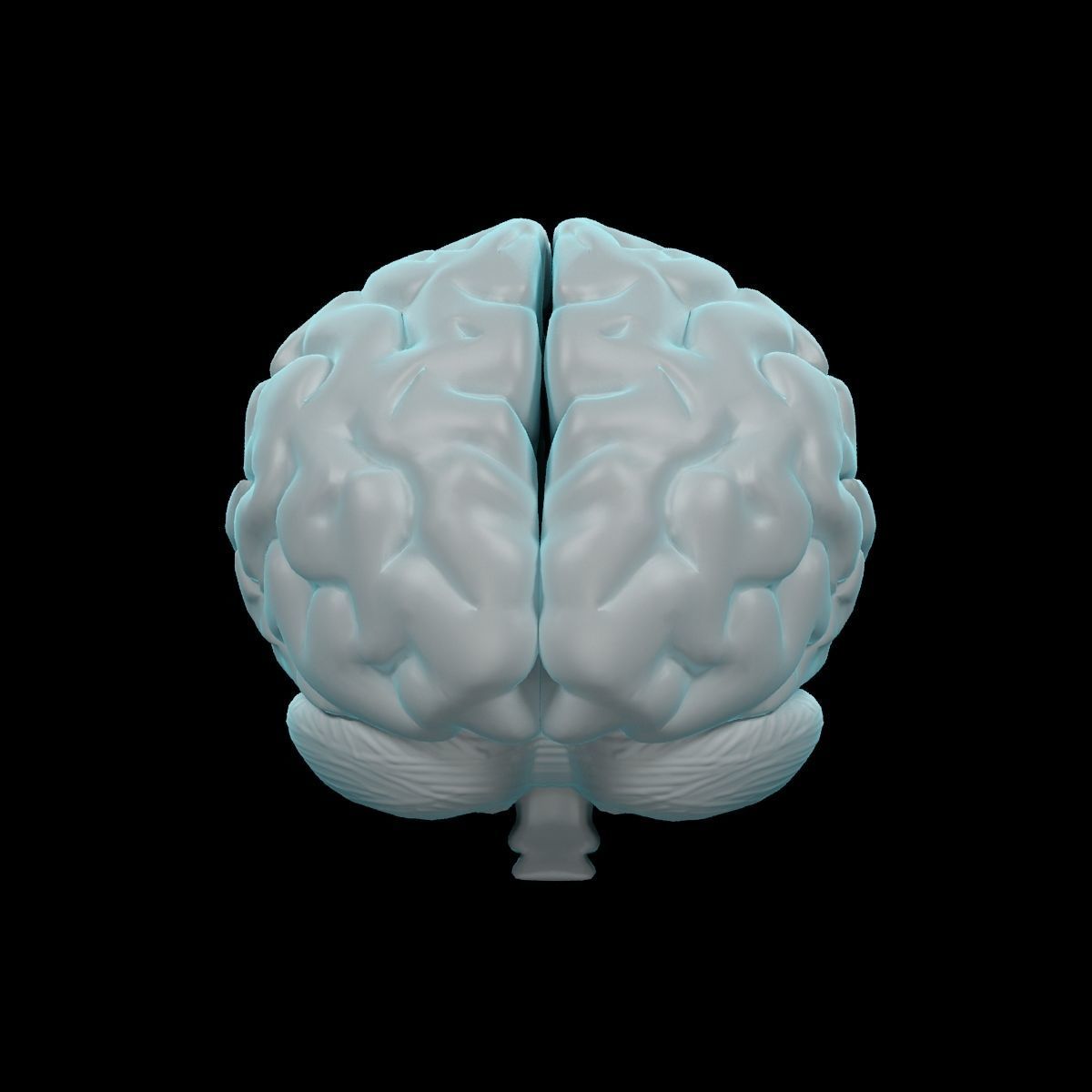 Human Brain 3D model_10