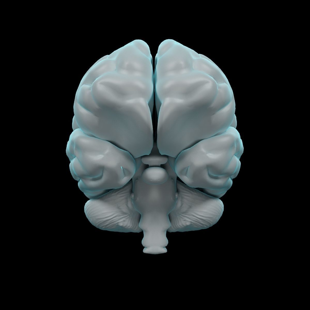 Human Brain 3D model_7