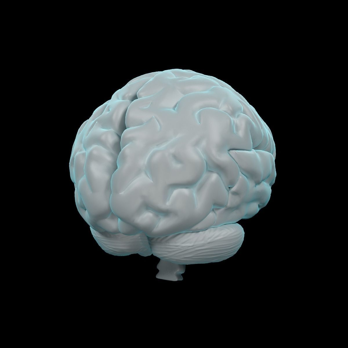Human Brain 3D model_4