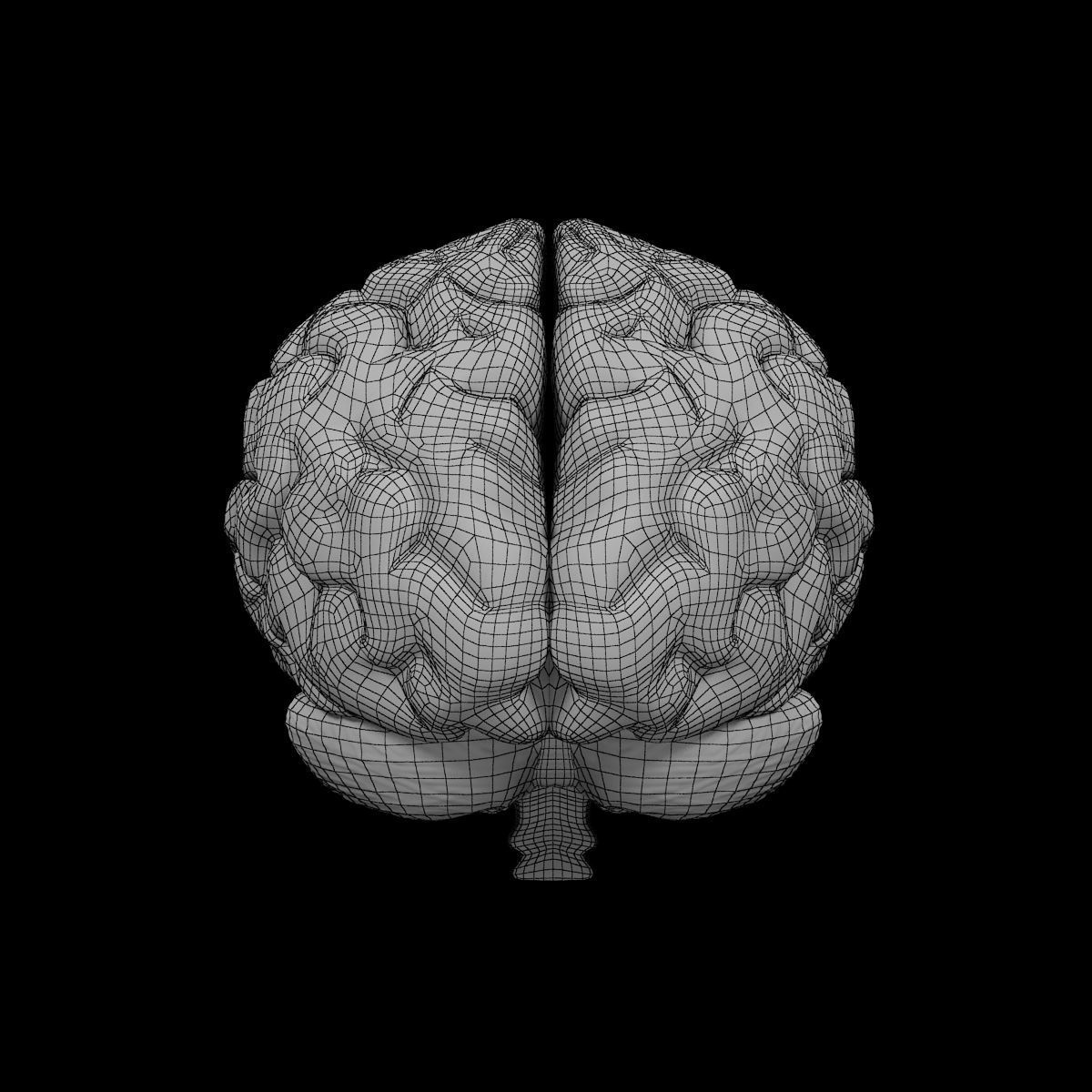 Human Brain 3D model_8