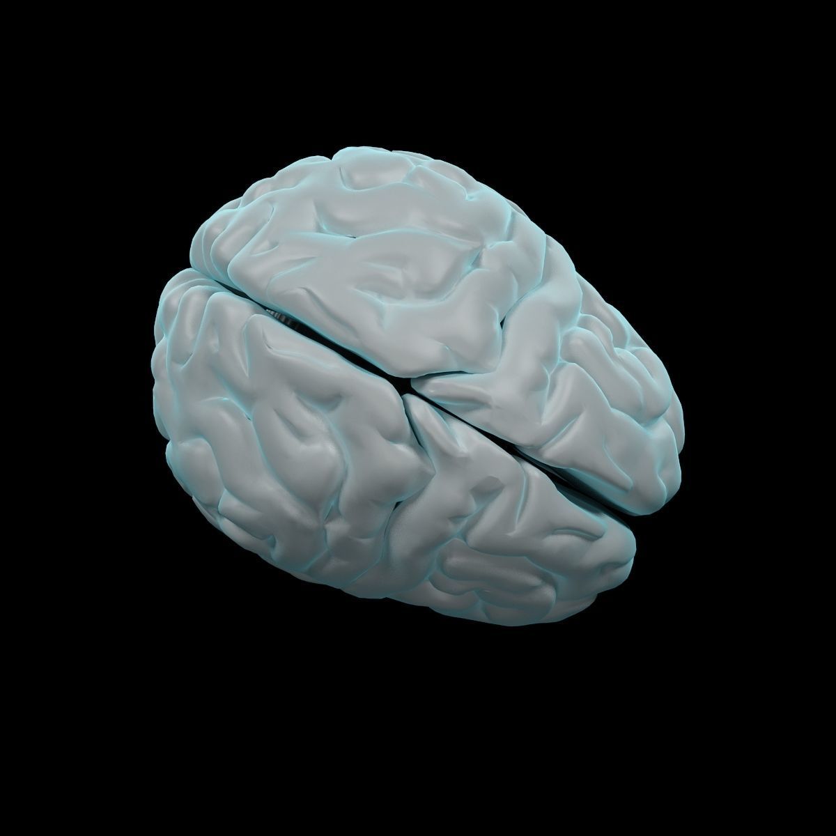 Human Brain 3D model_6