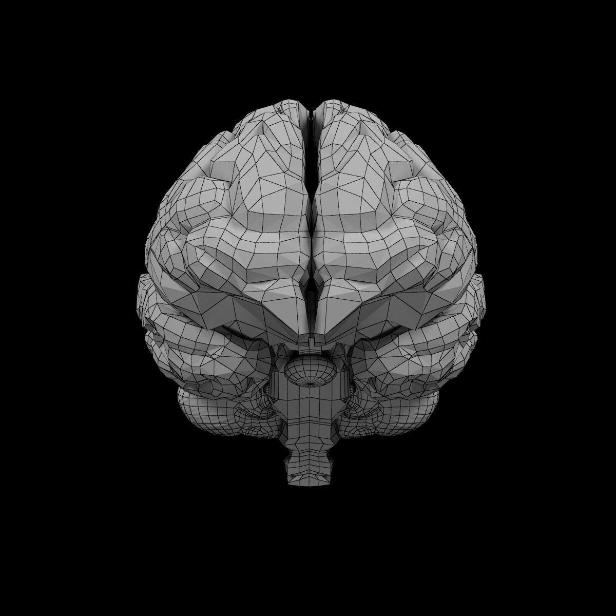 Human Brain 3D model_3