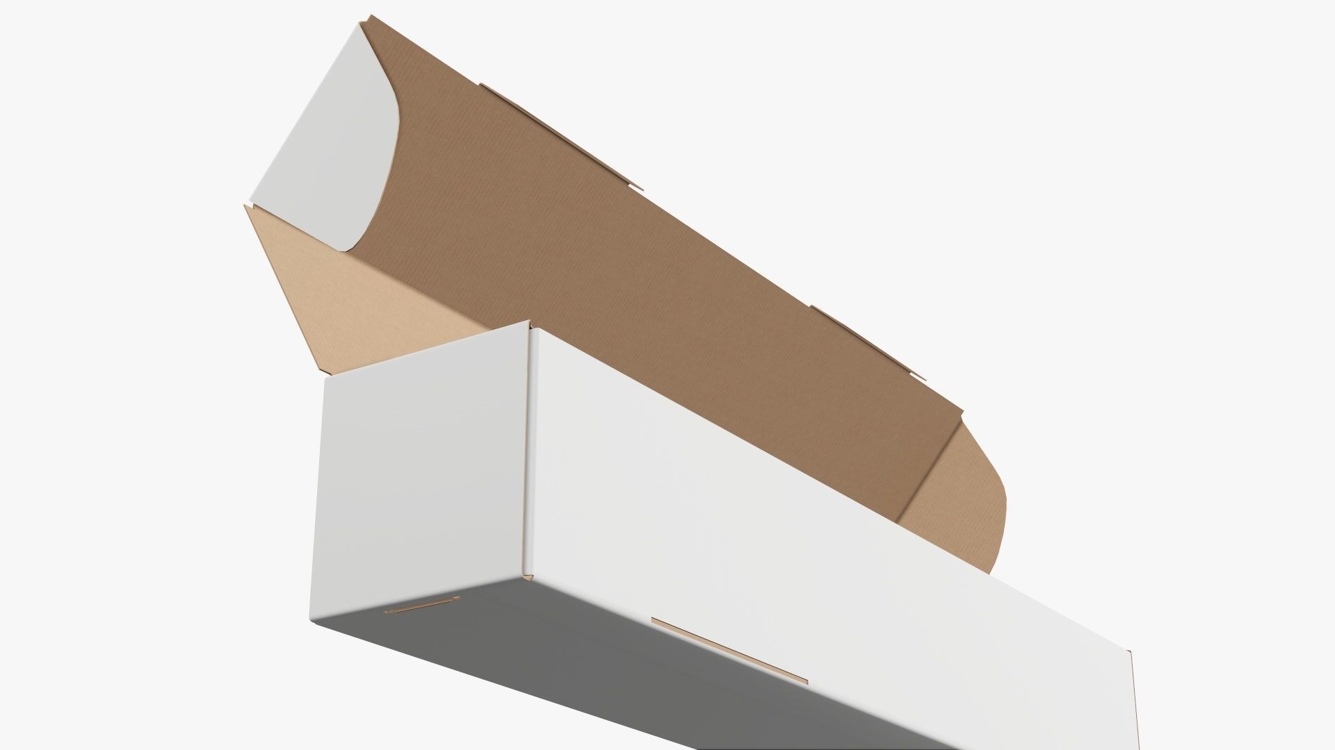 Opened shipping bottle box tall  3D model_4