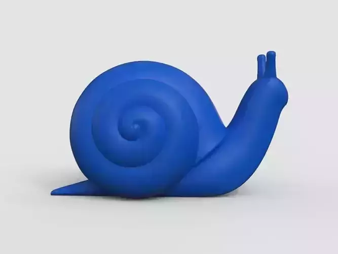snail