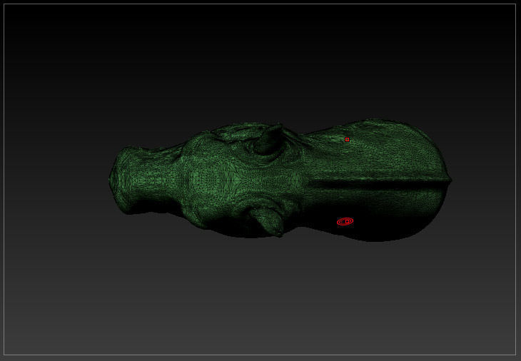 Horse head solid mesh 3D model_6