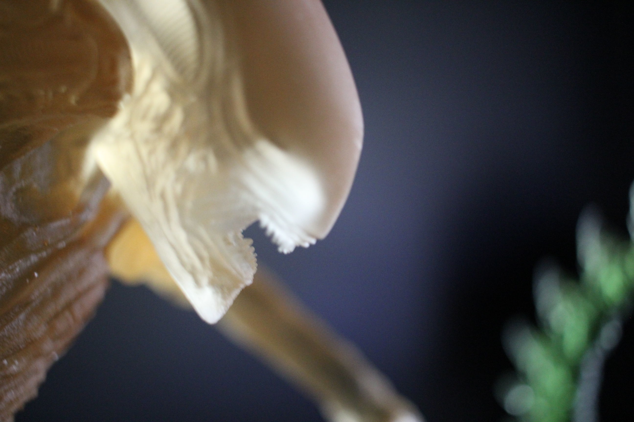 Alien Xenomorph 3D Print On Toxic Chamber Diorama  3D print model_10