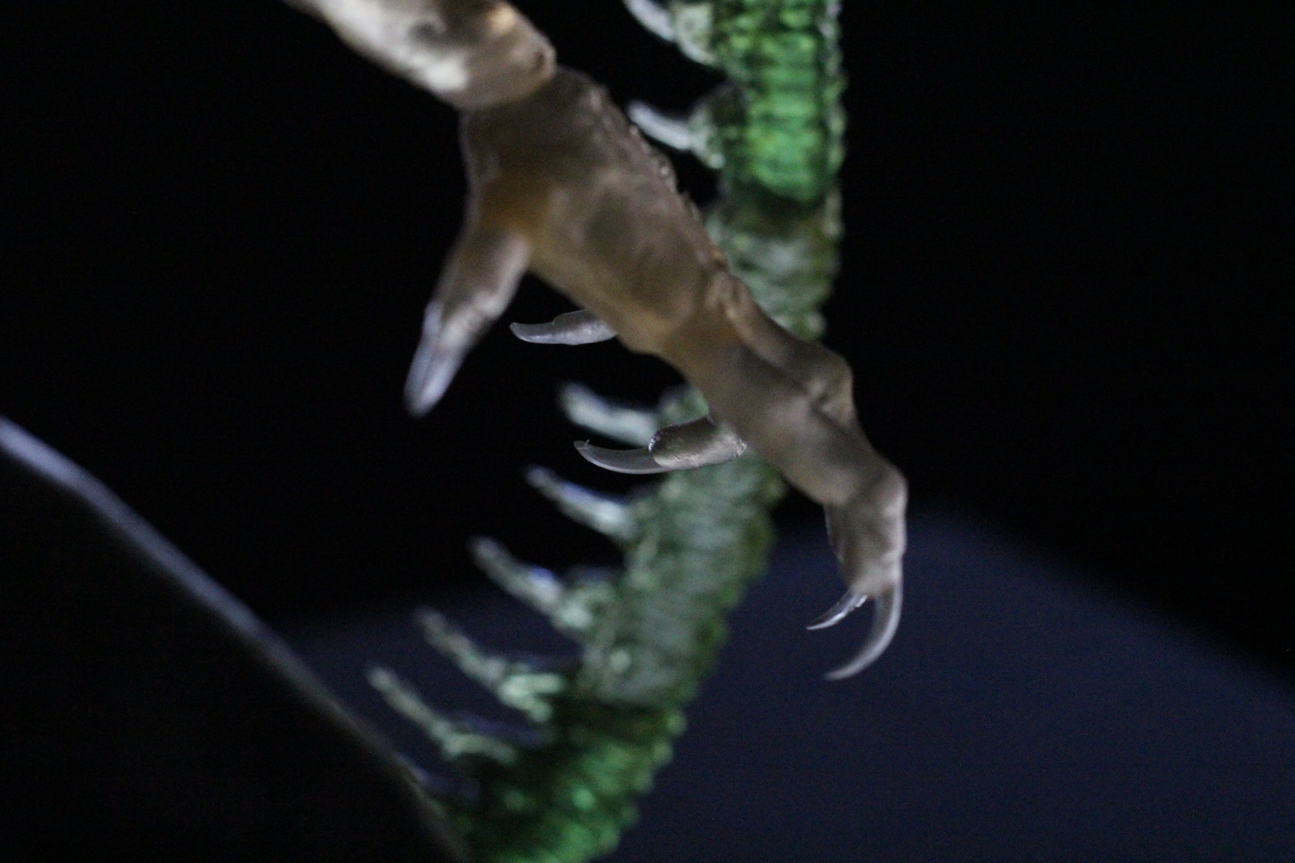 Alien Xenomorph 3D Print On Toxic Chamber Diorama  3D print model_51