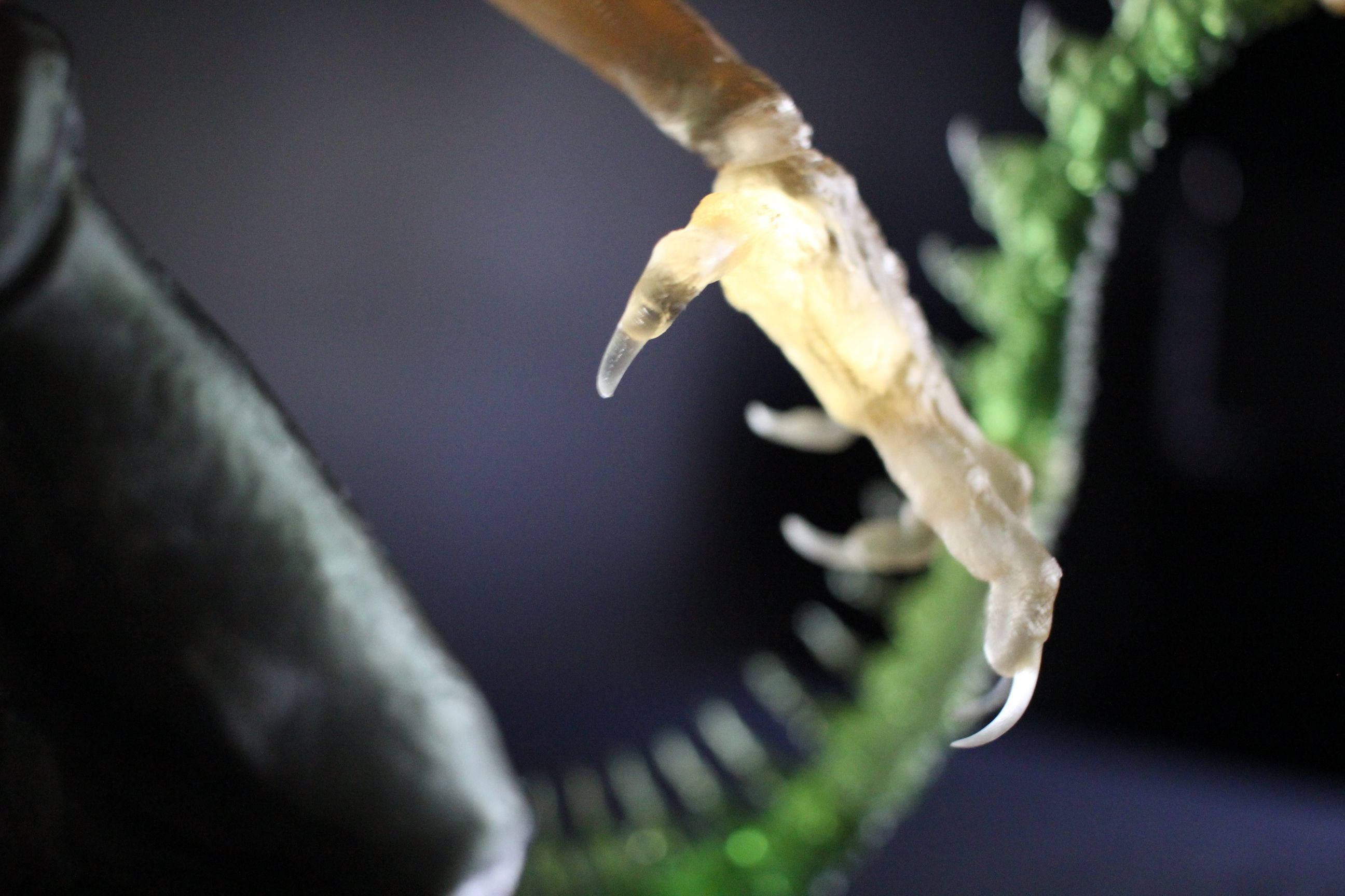 Alien Xenomorph 3D Print On Toxic Chamber Diorama  3D print model_6