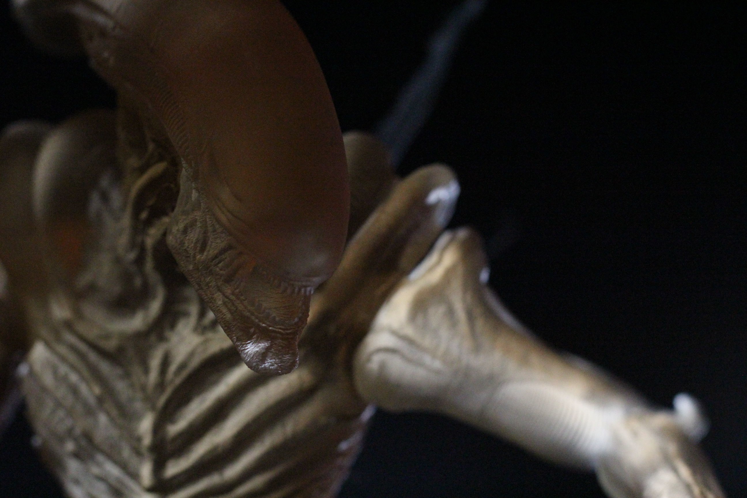 Alien Xenomorph 3D Print On Toxic Chamber Diorama  3D print model_25