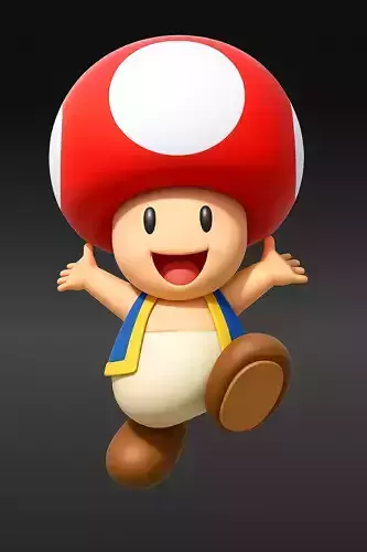 Toad Character