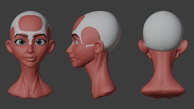 Style Head Anatomy Blockout 3D model
