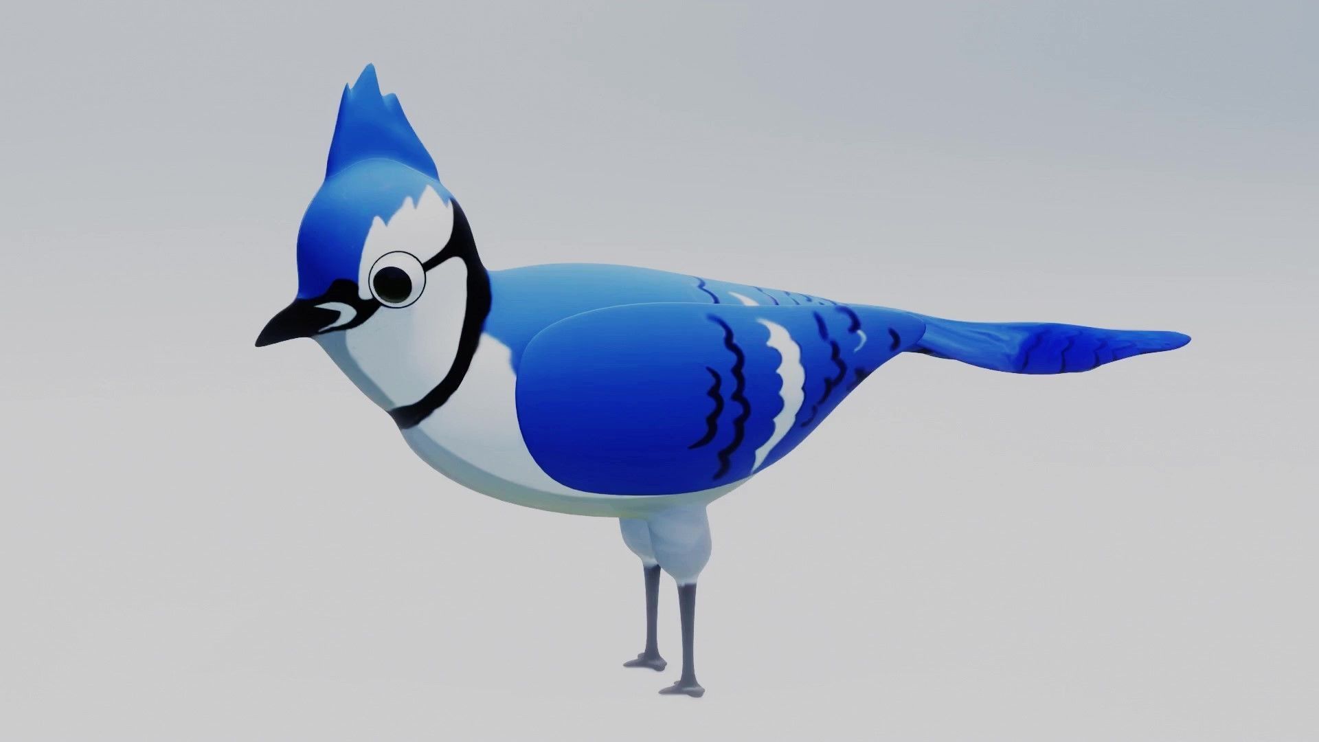 Blue Jay 3D Low-poly 3D model_2