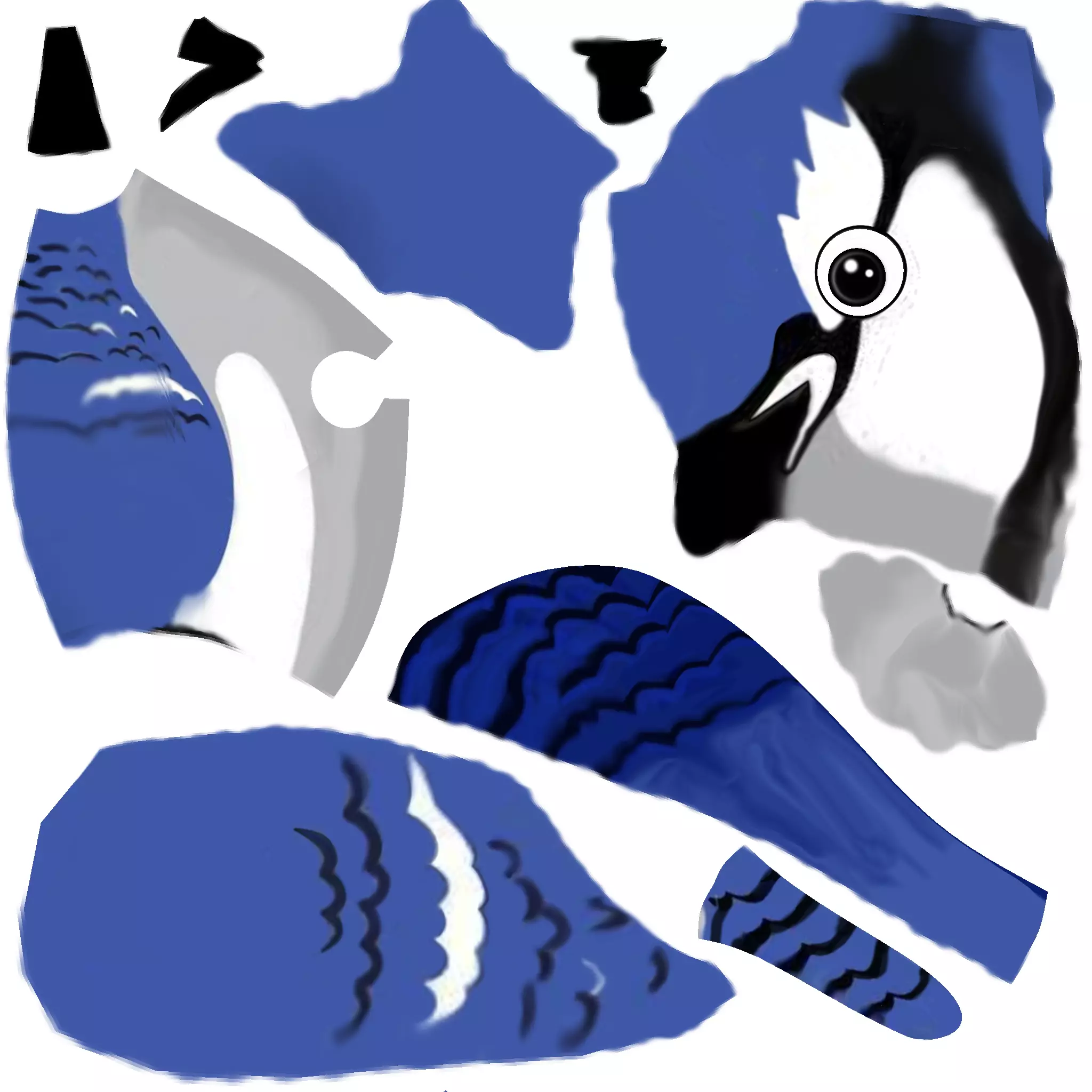 Blue Jay 3D Low-poly 3D model_0
