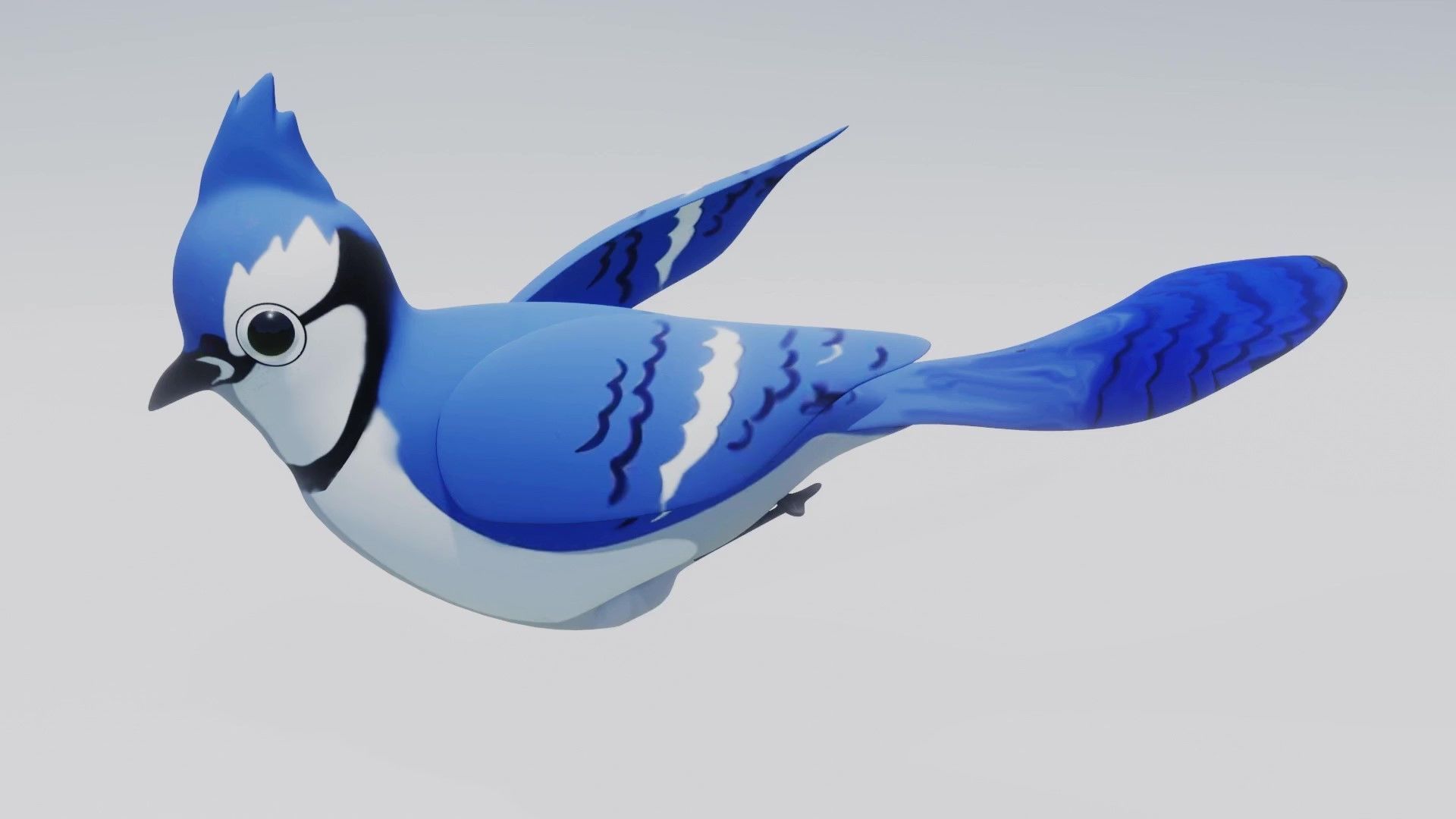 Blue Jay 3D Low-poly 3D model_3