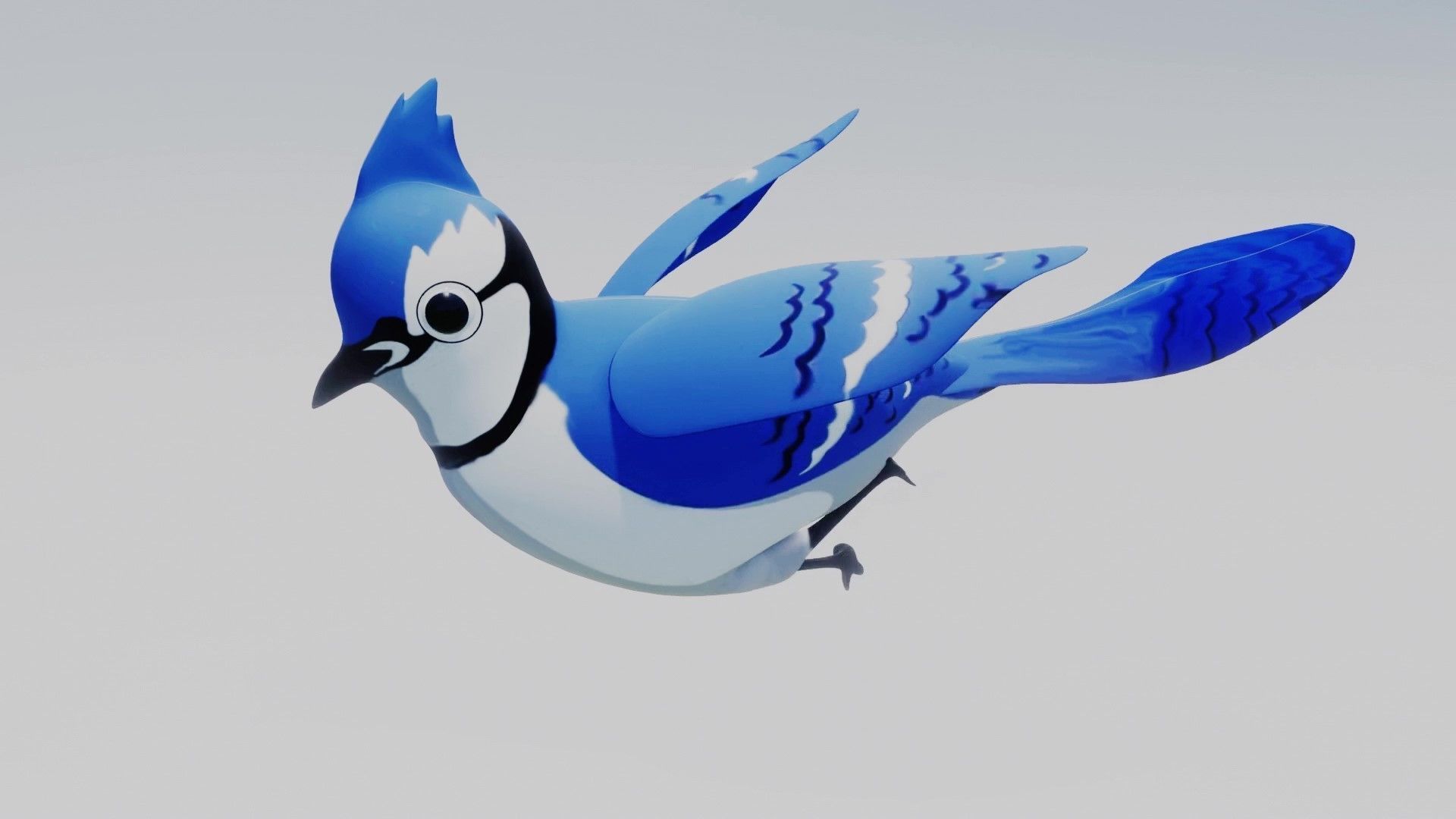 Blue Jay 3D Low-poly 3D model_1