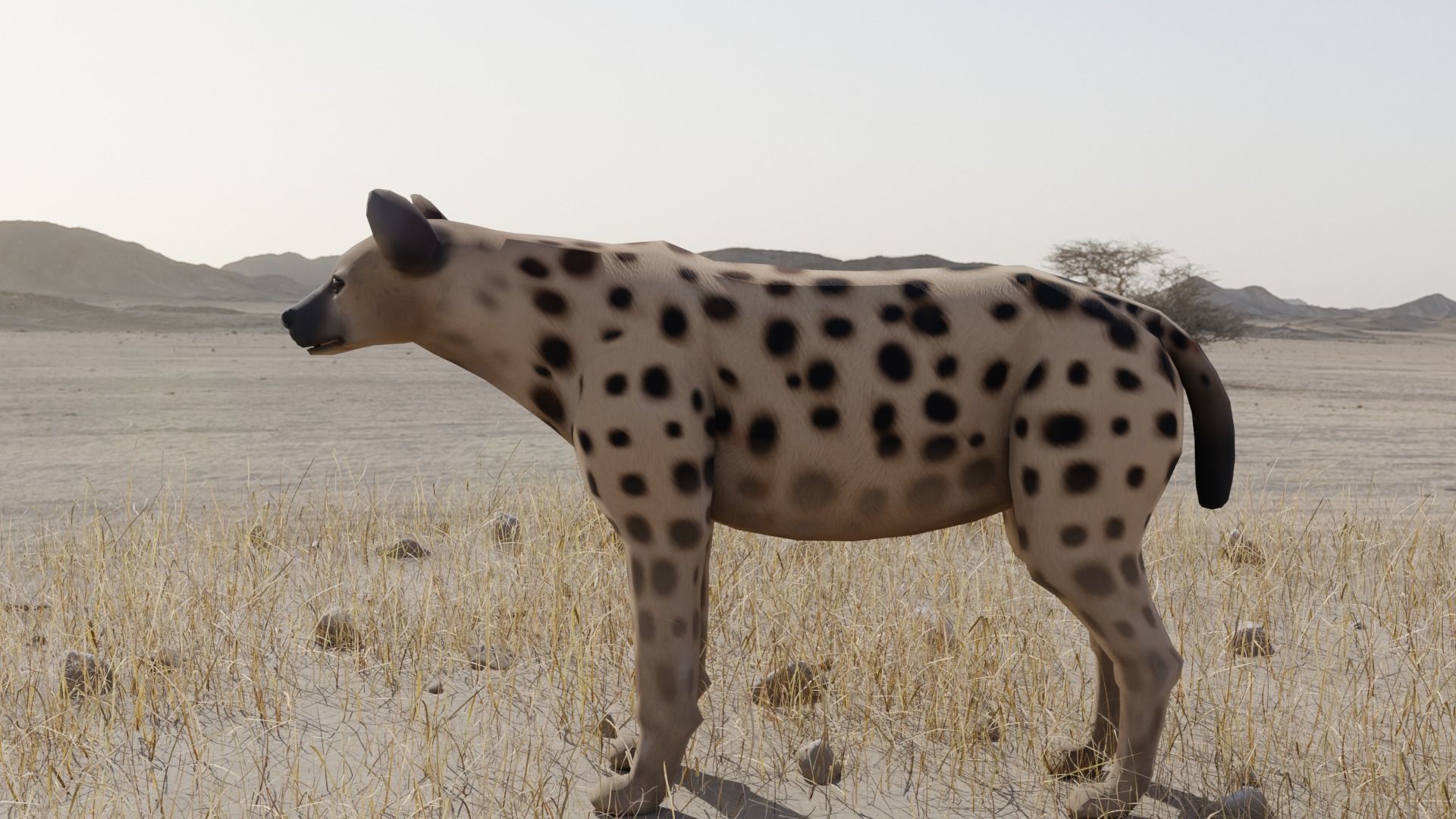 Hyena dog Low-poly 3D model_4