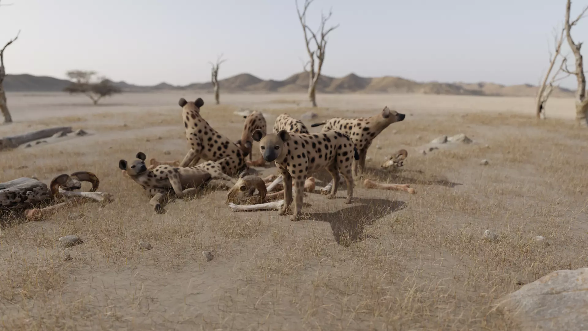 Hyena dog Low-poly 3D model_0