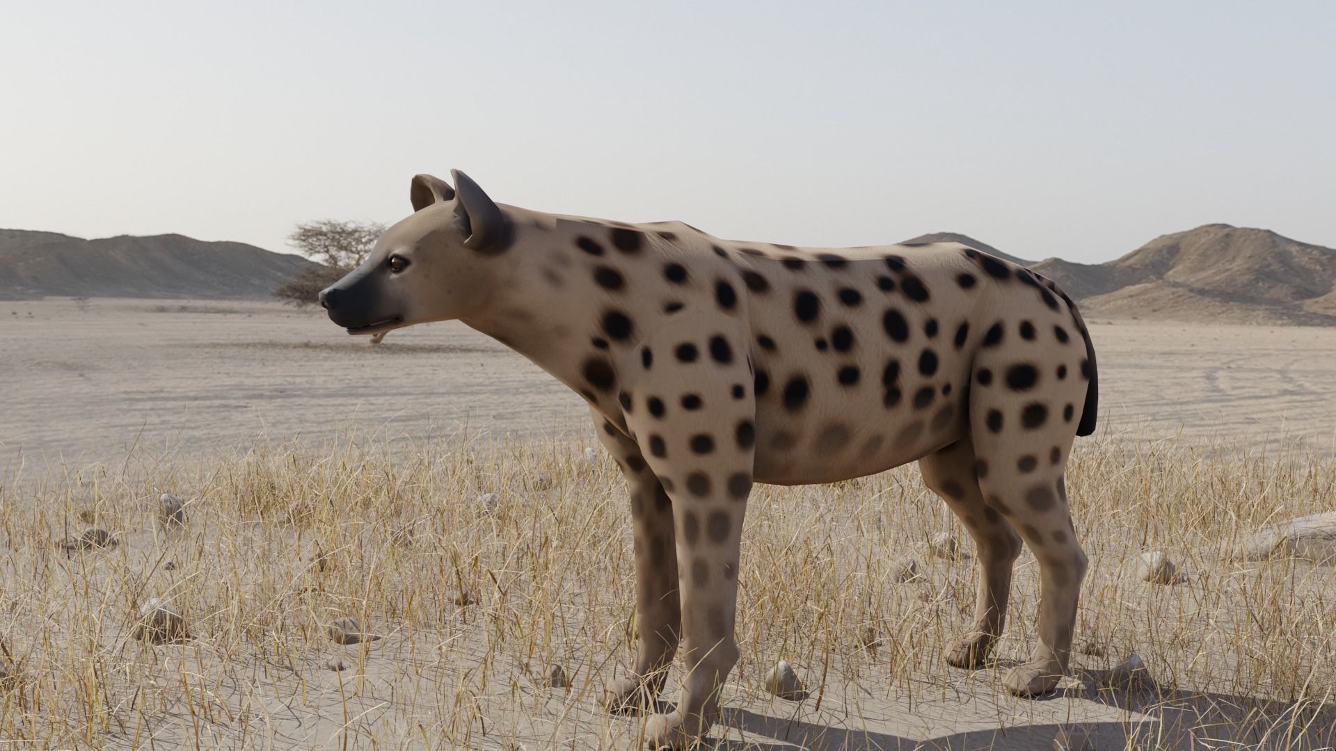 Hyena dog Low-poly 3D model_2