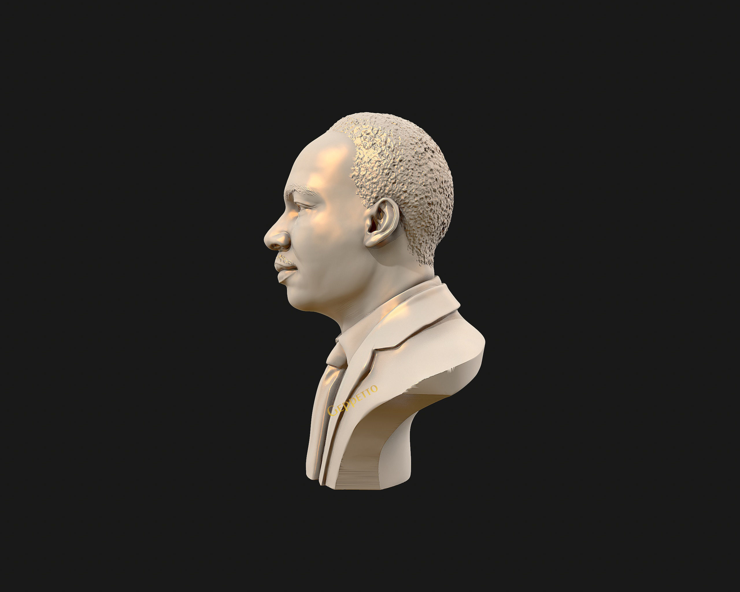 Martin Luther King head sculpture ready to 3D print 3D print model_28