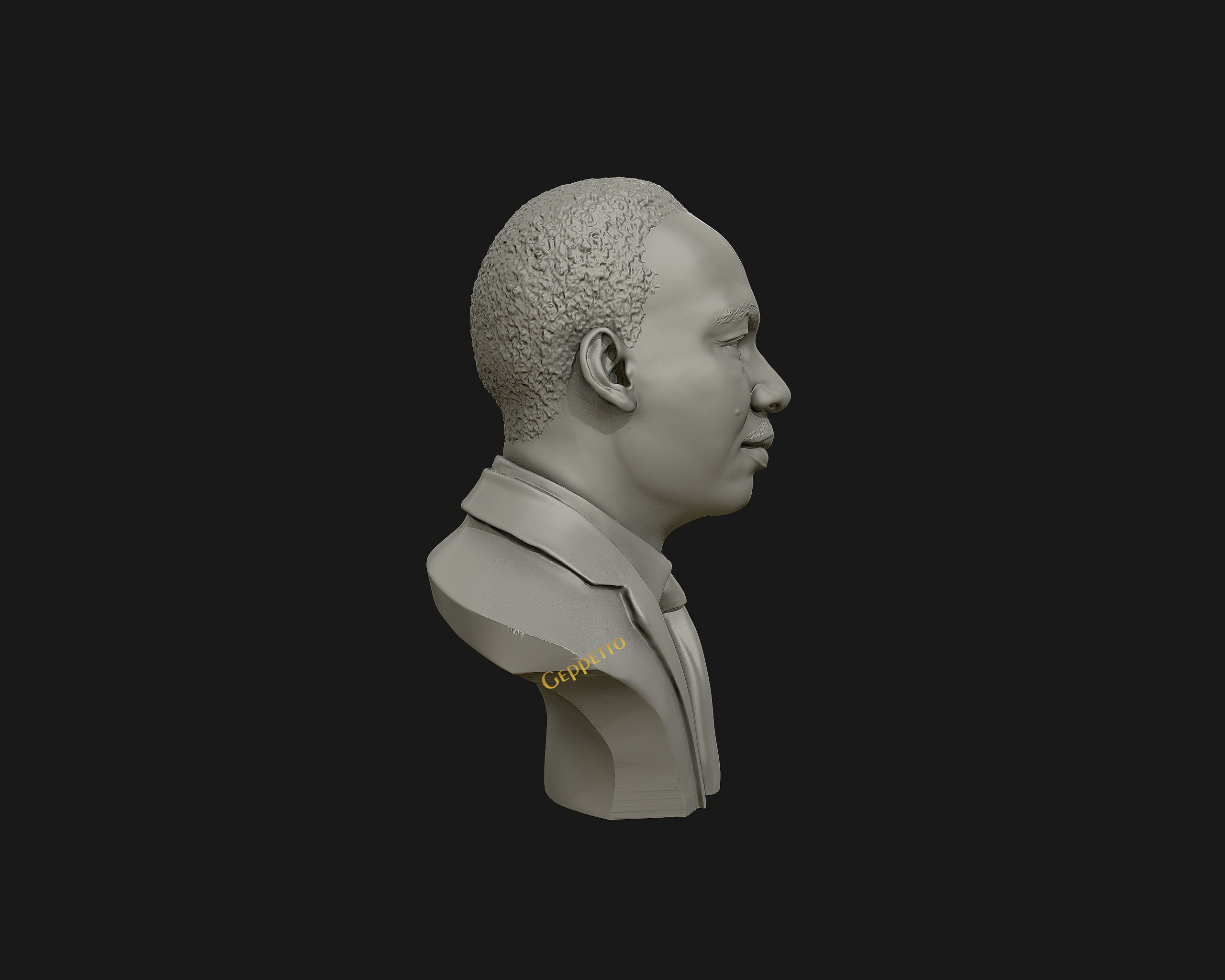 Martin Luther King head sculpture ready to 3D print 3D print model_19