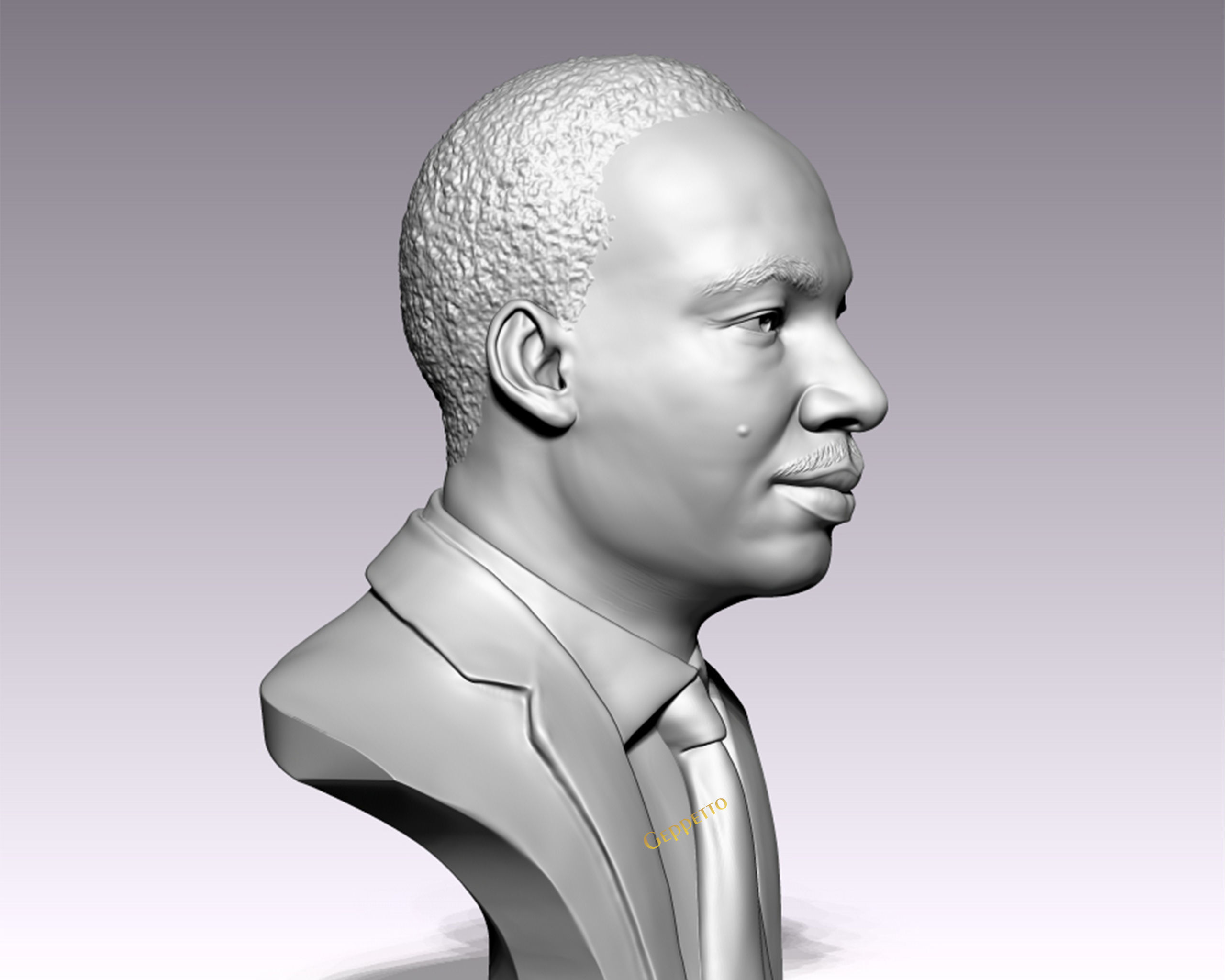 Martin Luther King head sculpture ready to 3D print 3D print model_8