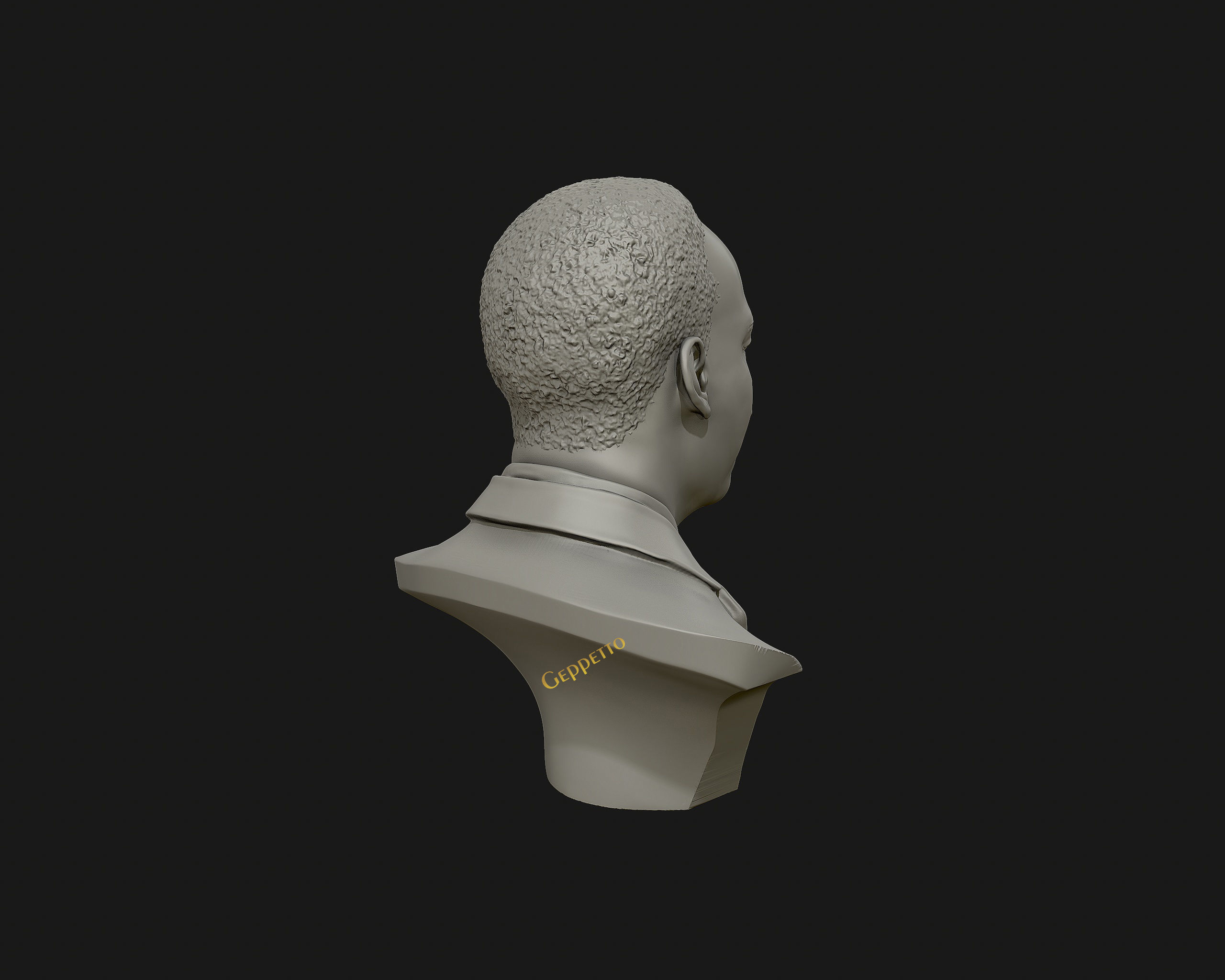 Martin Luther King head sculpture ready to 3D print 3D print model_18