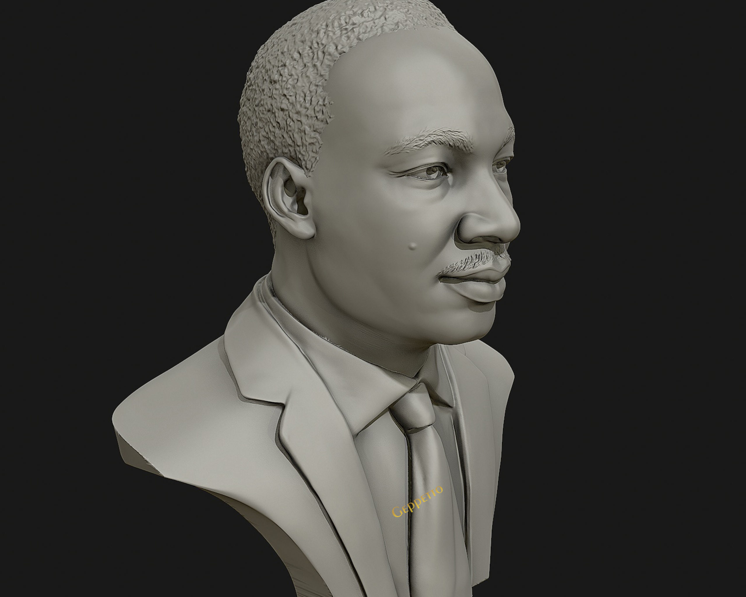 Martin Luther King head sculpture ready to 3D print 3D print model_3