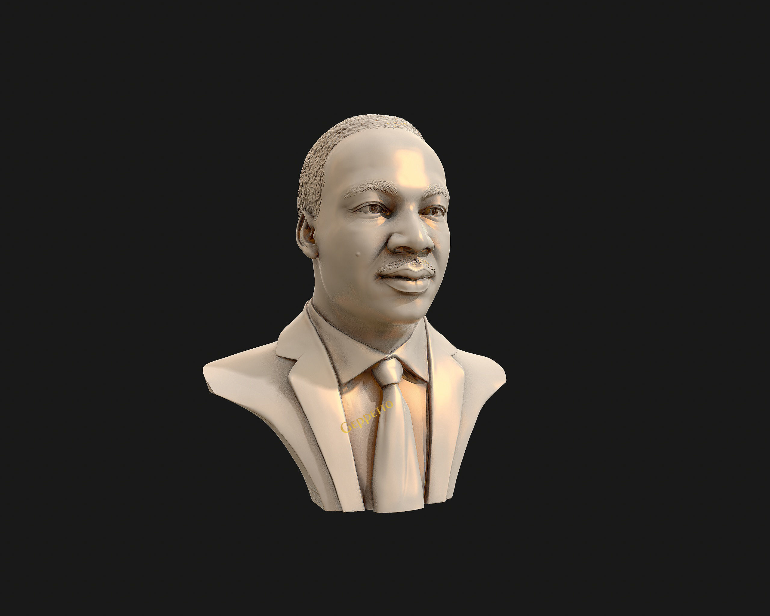 Martin Luther King head sculpture ready to 3D print 3D print model_29